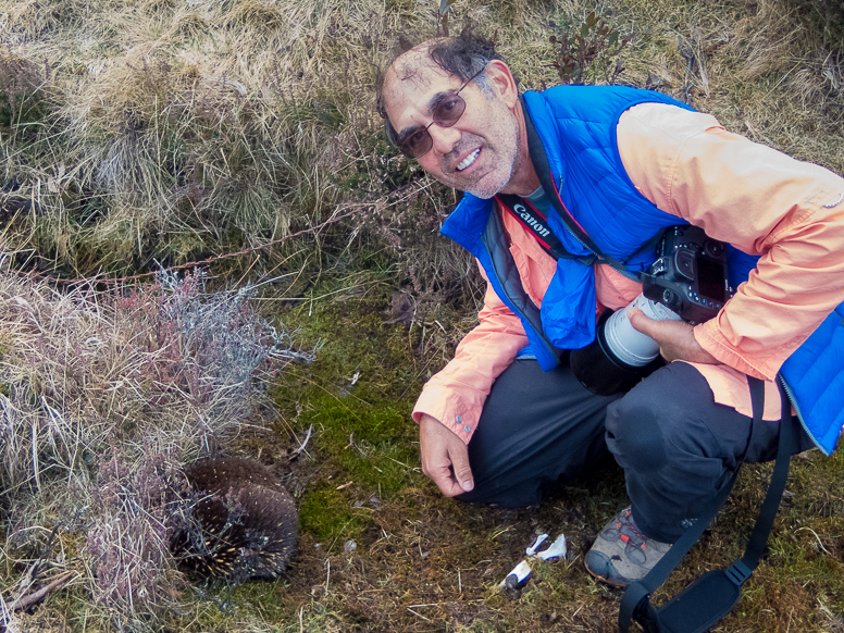 bob with echidna